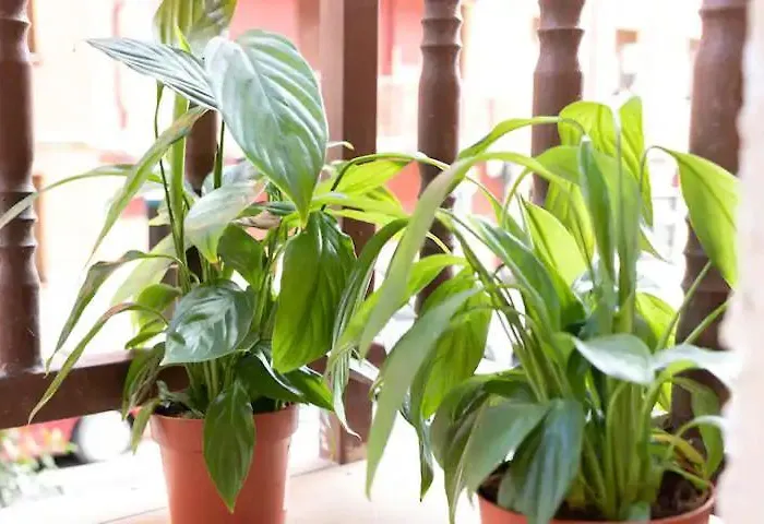 Acb - Z26 Centrico - Parking Gratis